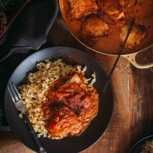 Chicken paprikash on a plate with noodles.