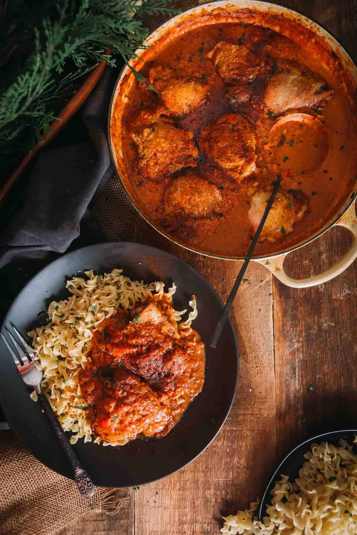 Chicken paprikash on a plate with egg noodles.