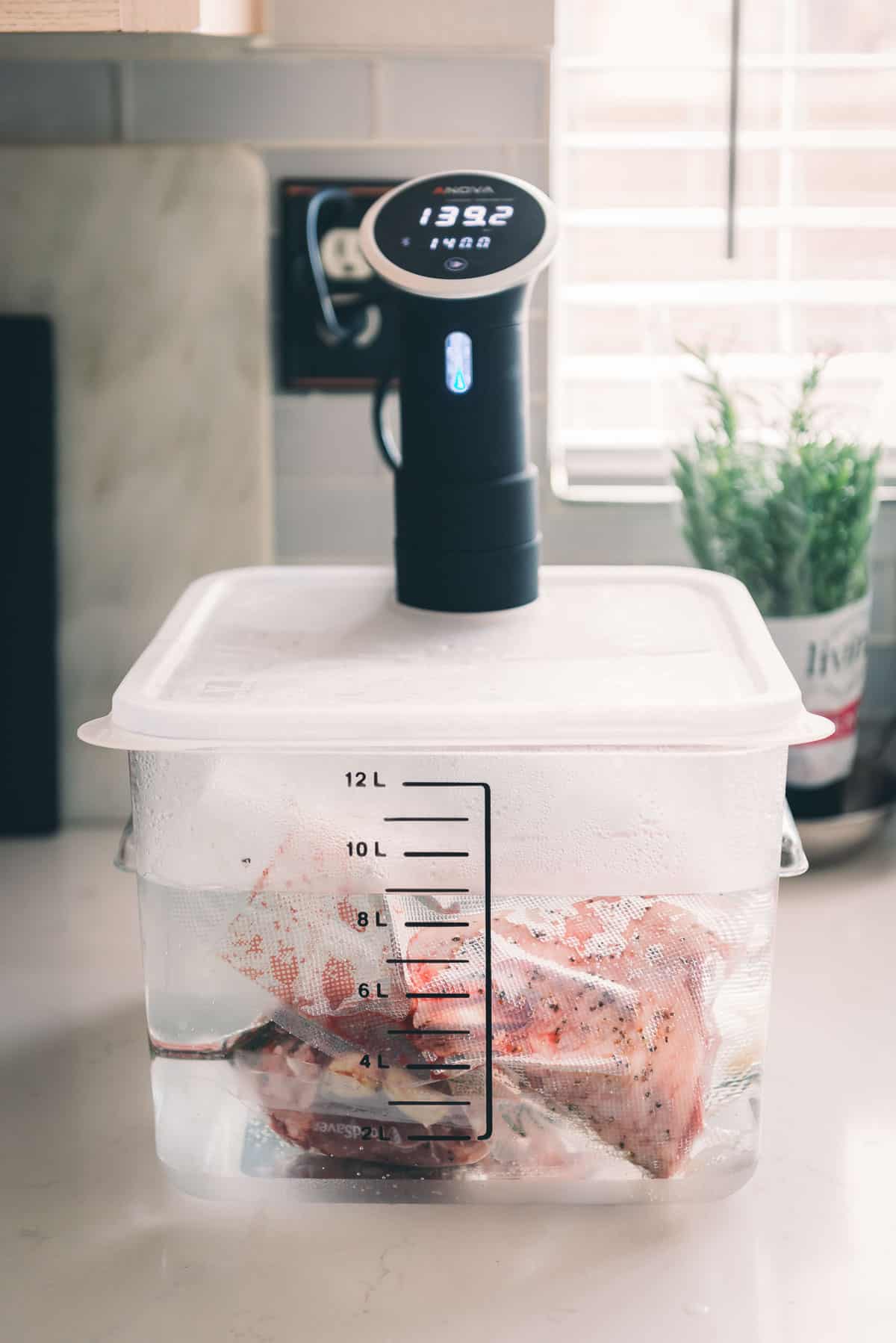Sous vide machine with lamb shanks submerged in a water bath.