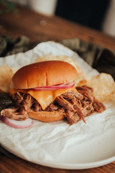 A pulled pork sandwich on a plate with chips.