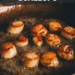 How to make pan - seared scallops pinterest image.