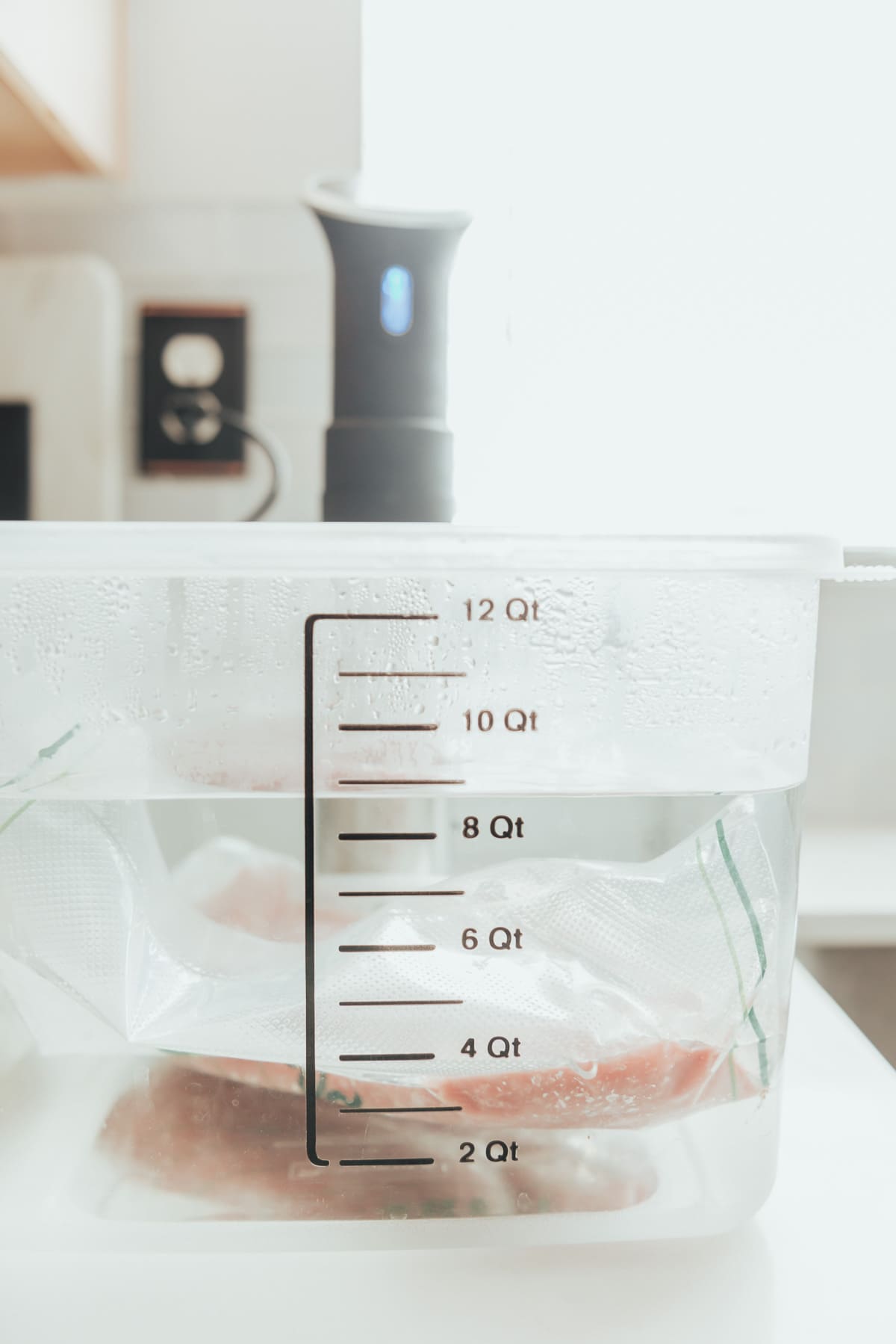 A sous vide water bath and precision cooker.