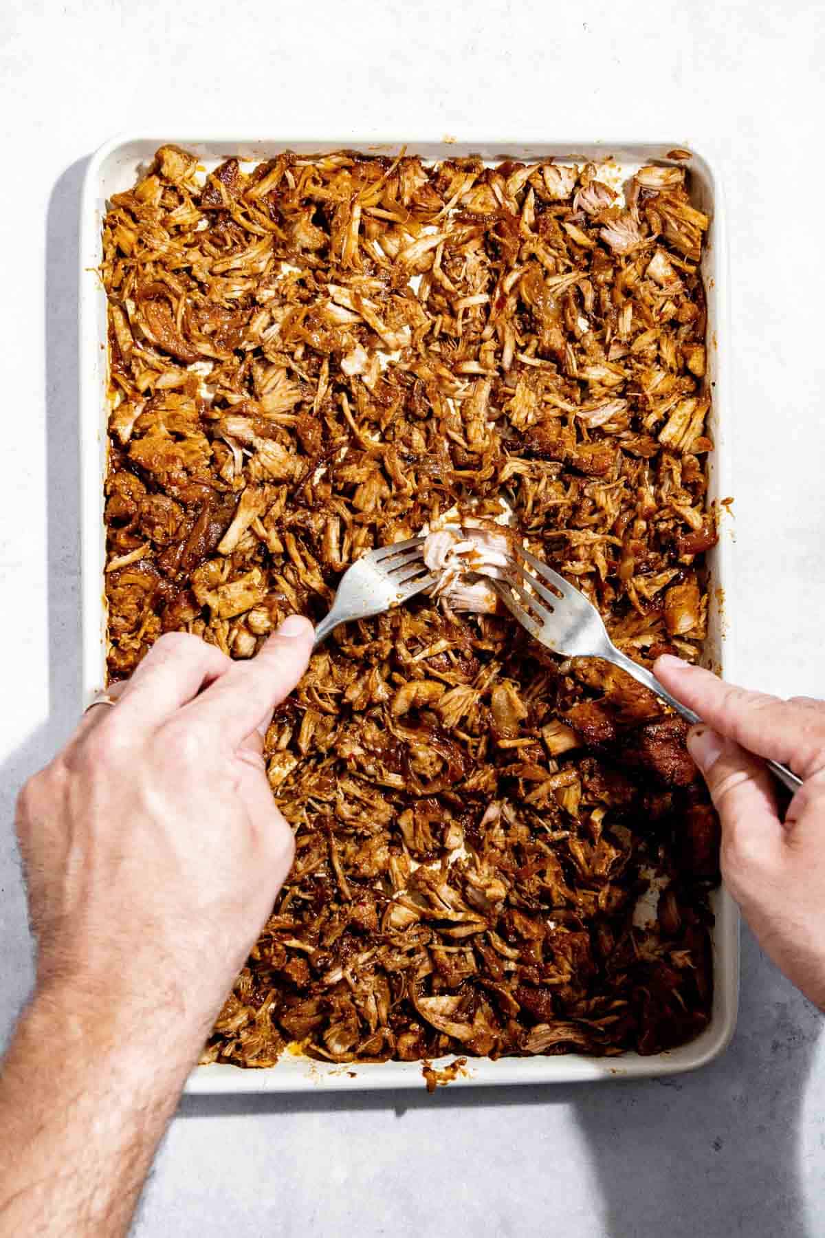 Hands shred seasoned cooked pork with two forks on a white tray.