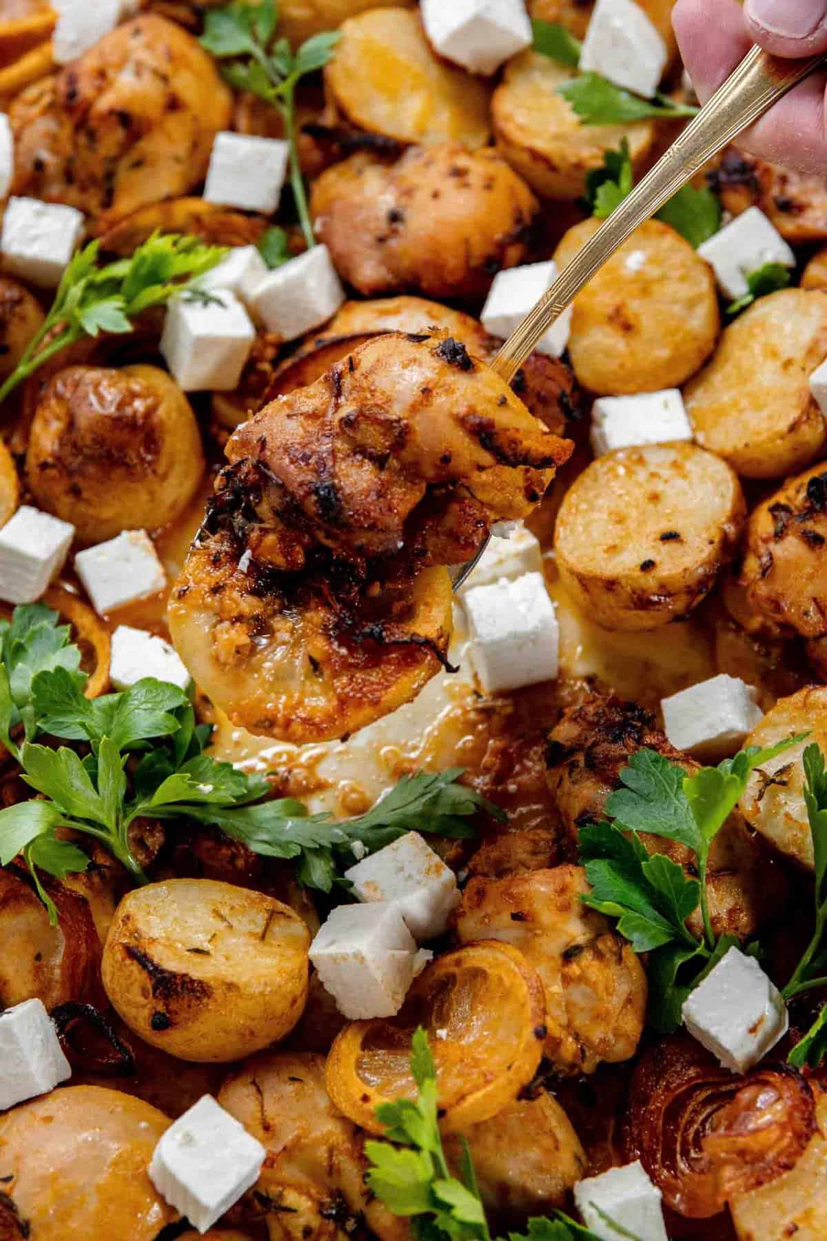 A close-up of a dish featuring roasted chicken, small potatoes, and cubes of cheese, garnished with parsley, with someone holding a piece of chicken using a fork.