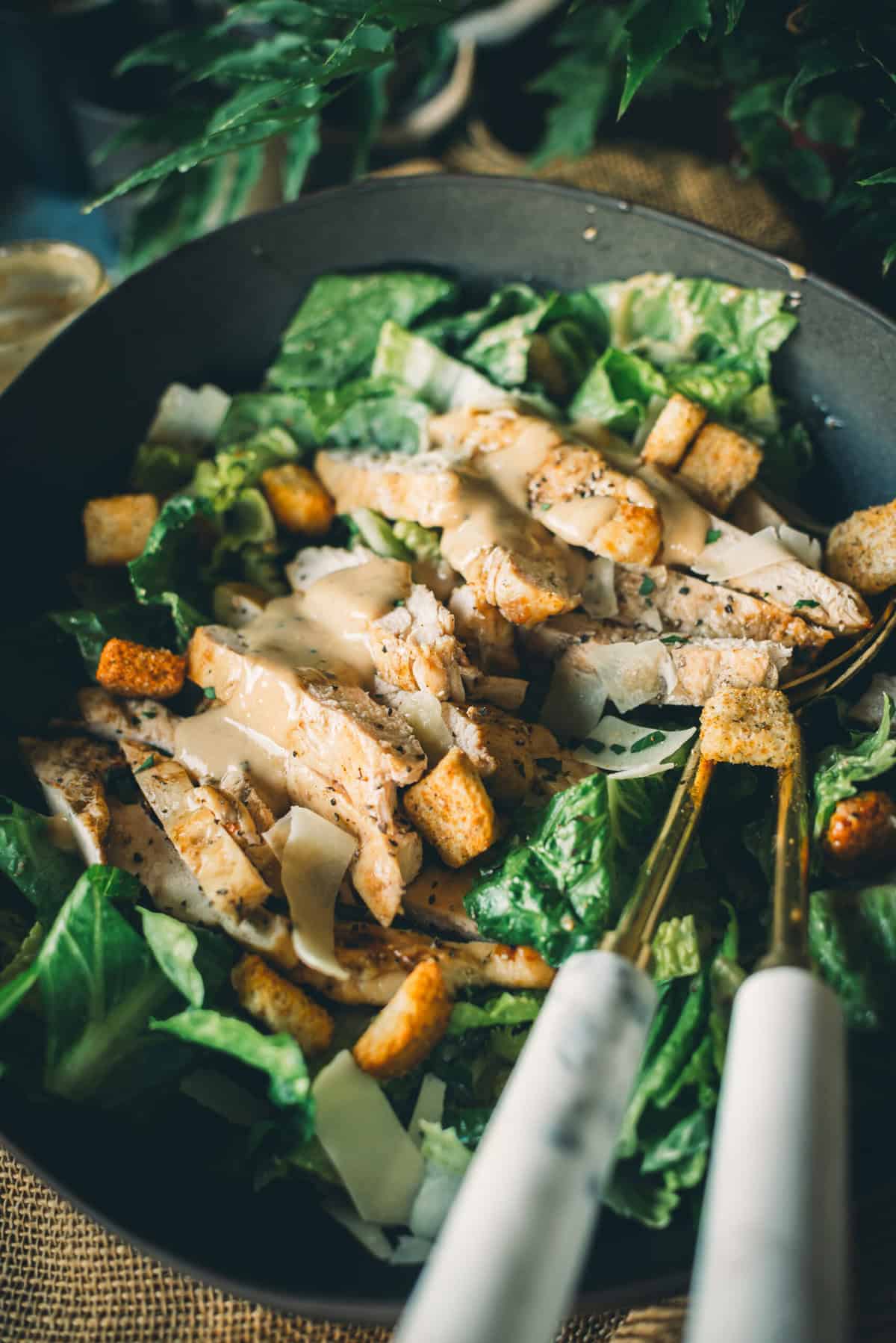 A bowl of Caesar salad with sliced grilled chicken, croutons, grated cheese, and dressing.