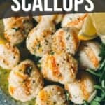 Pinterest image for grilled scallops with parmesan and lemon.