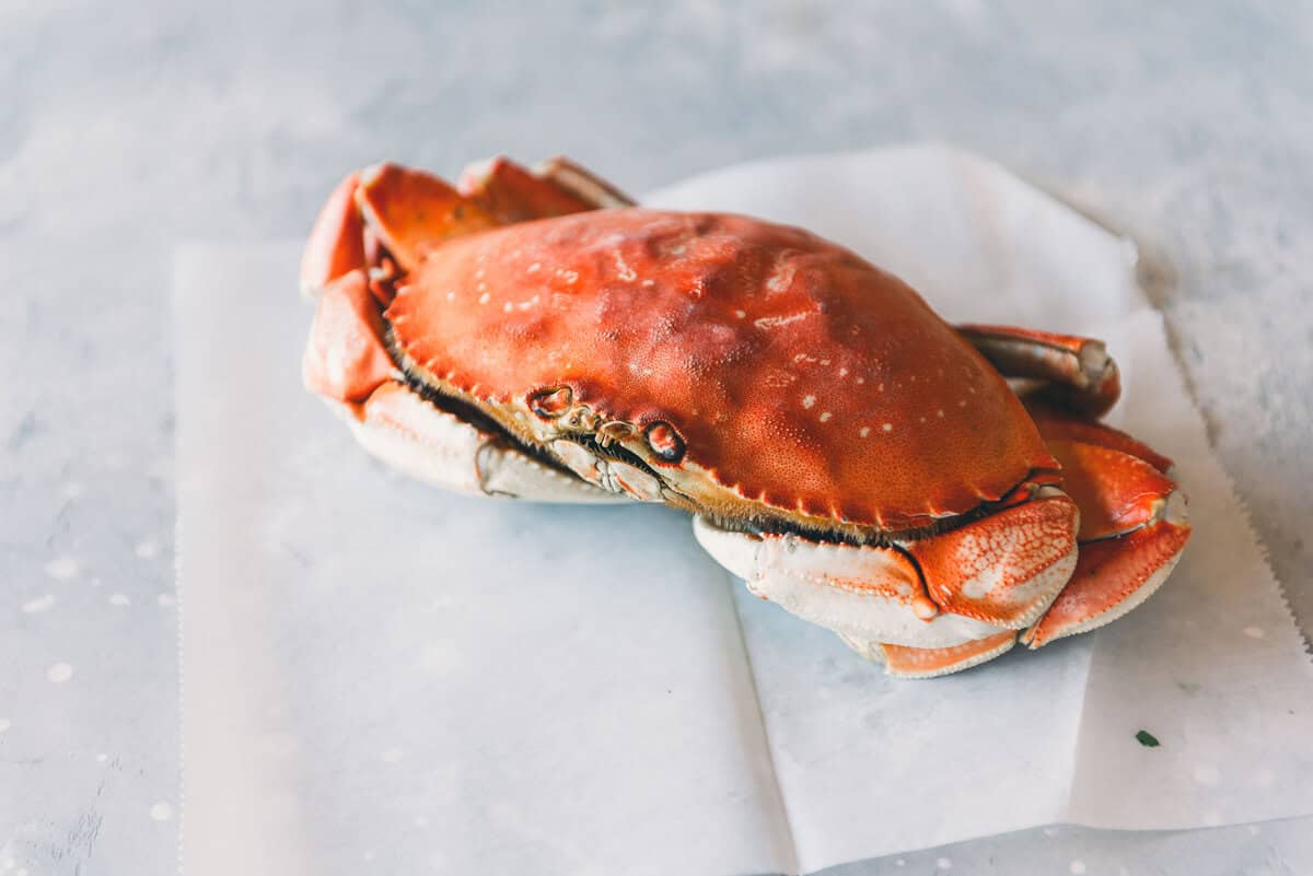 A cooked crab is placed on a sheet of white paper against a light blue textured background.