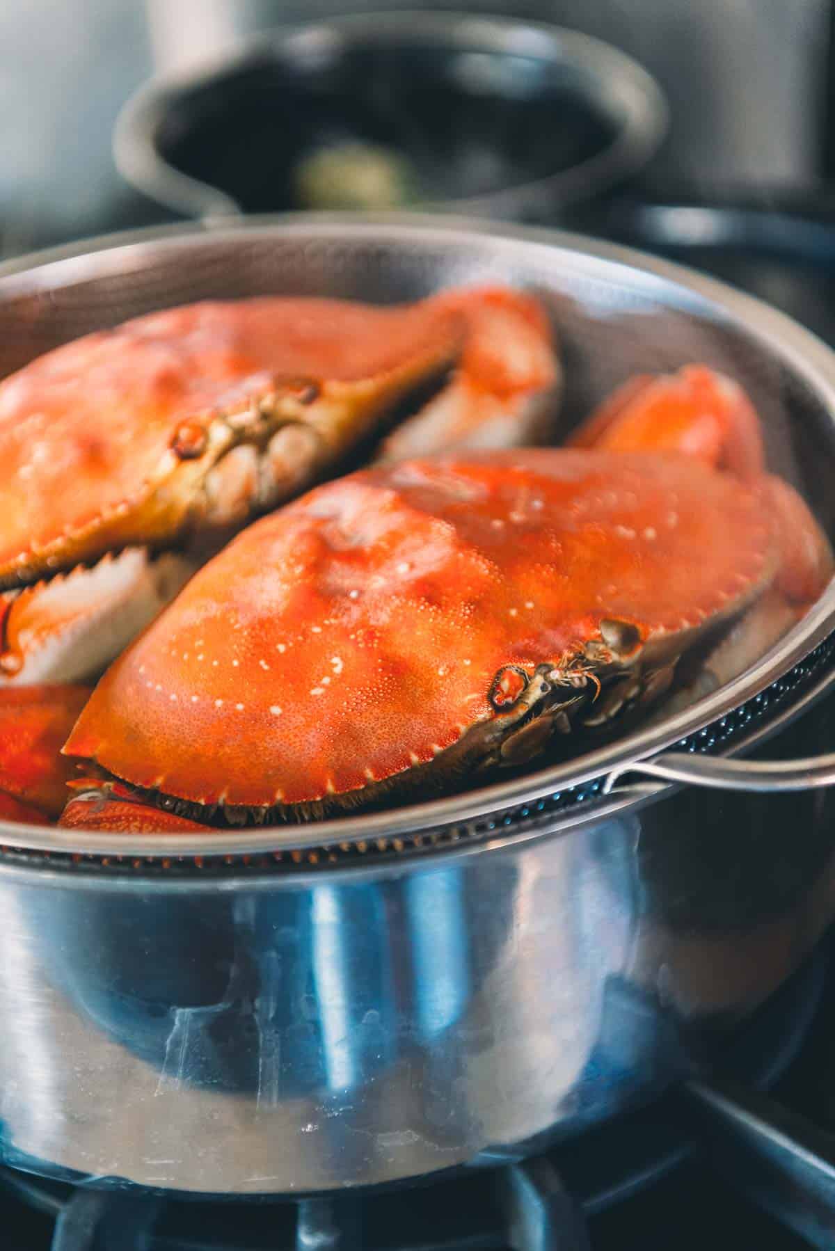 Steamed crabs with orange shells sit in a stainless steel pot on a stovetop.