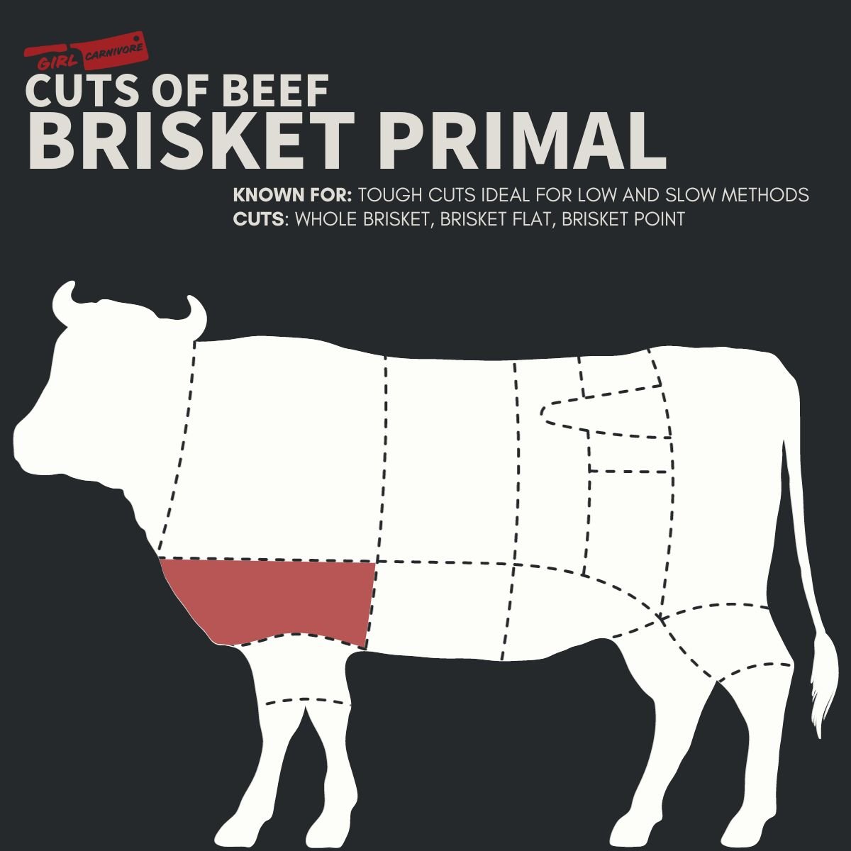 Diagram showing the brisket primal cut of beef, highlighted in red, known for tough cuts ideal for slow cooking methods. The brisket includes the whole brisket, brisket flat, and brisket point.