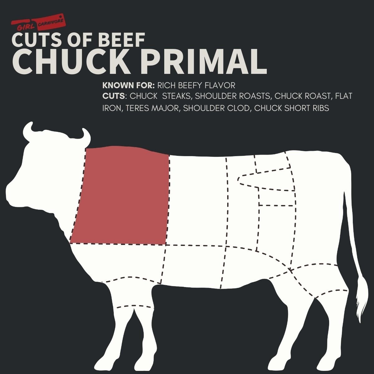 Diagram showing the chuck primal section of a cow, highlighted in red. Known for a rich beefy flavor. Cuts include chuck steaks, shoulder roasts, chuck roast, flat iron, teres major, shoulder clod, chuck short ribs.