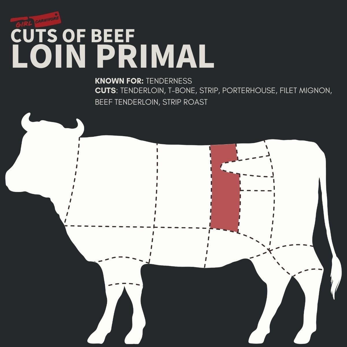 Diagram of a cow with the Loin Primal section highlighted in red. Text lists cuts from this section: tenderloin, t-bone, strip, porterhouse, filet mignon, beef tenderloin, and strip roast.