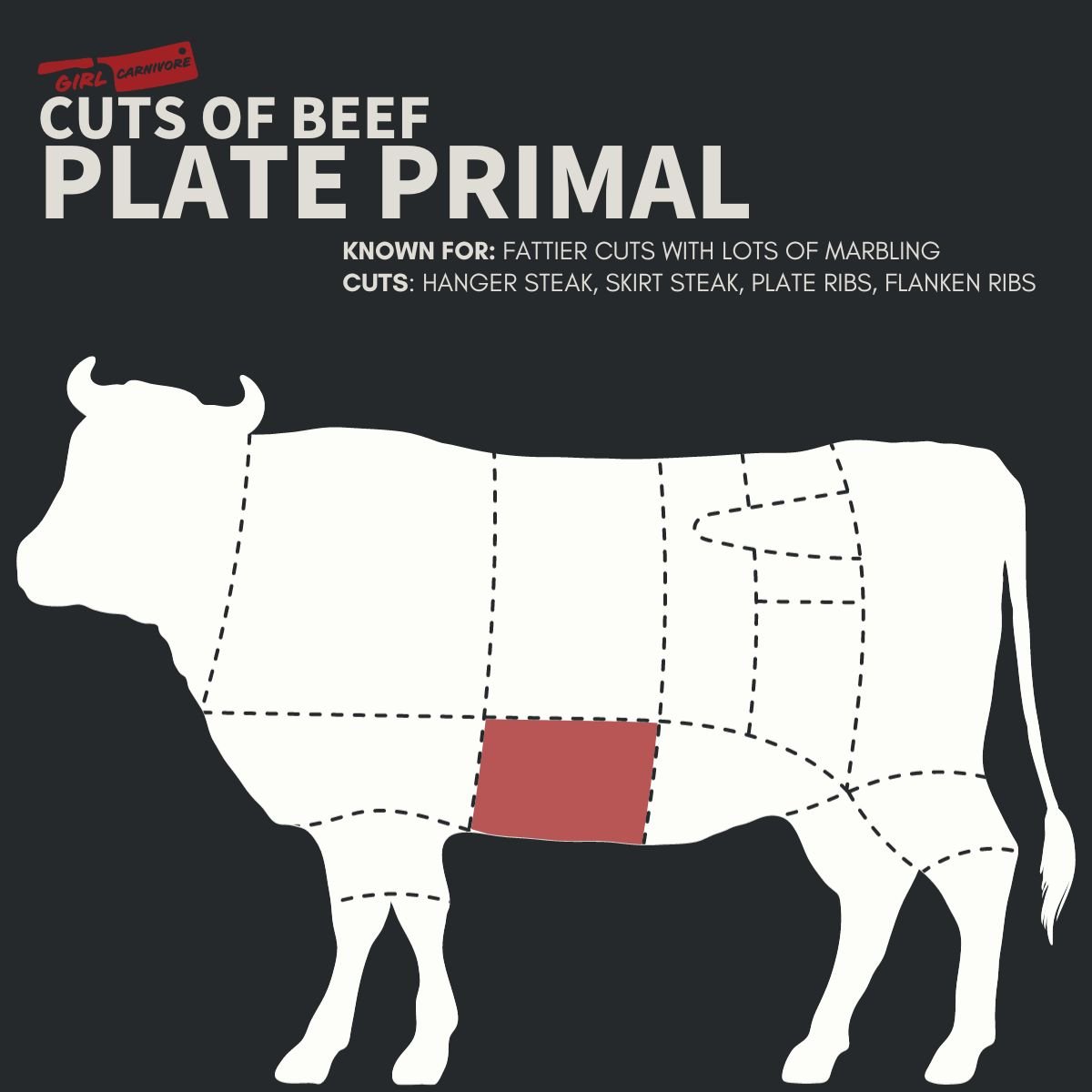 Diagram of beef cuts highlighting the Plate Primal section in red, known for fattier cuts with marbling, including hanger steak, skirt steak, plate ribs, and flanken ribs.