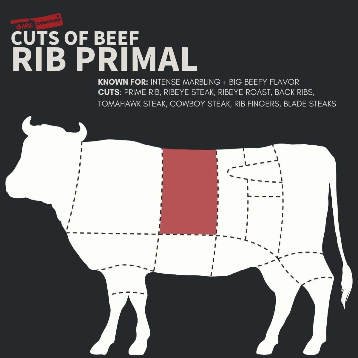 Diagram of beef cuts highlighting the Rib Primal section, known for intense marbling and beefy flavor. Cuts include Prime Rib, Ribeye Steak, Ribeye Roast, Back Ribs, Tomahawk Steak, Cowboy Steak, and more.