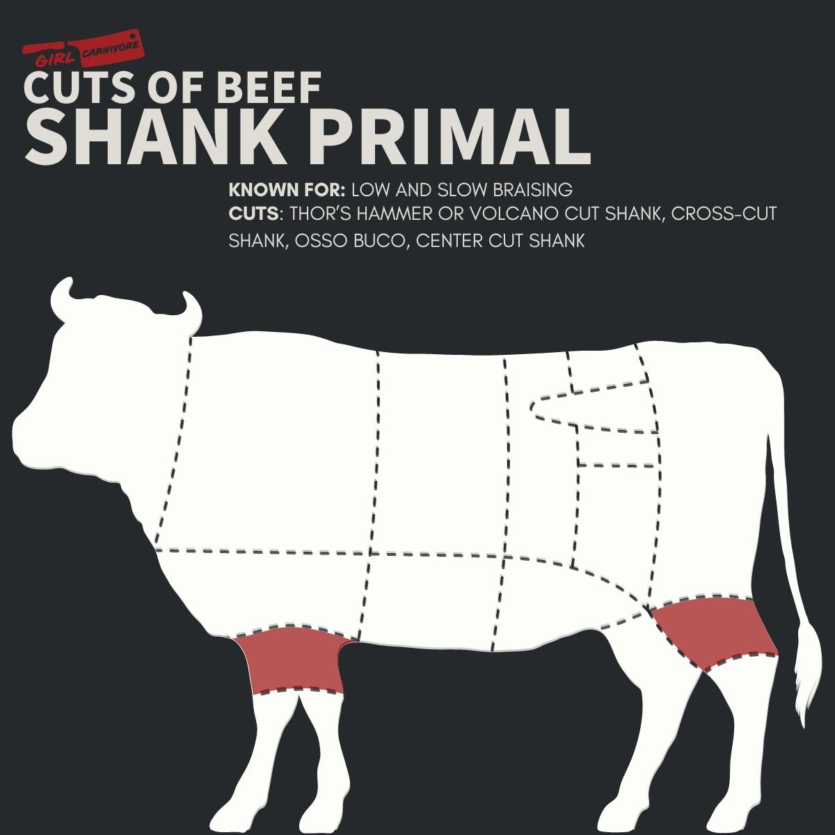 Diagram of a cow highlighting the shank primal cut, known for low and slow braising. Includes cuts like Thor’s Hammer, cross-cut shank, osso buco, and center cut shank.