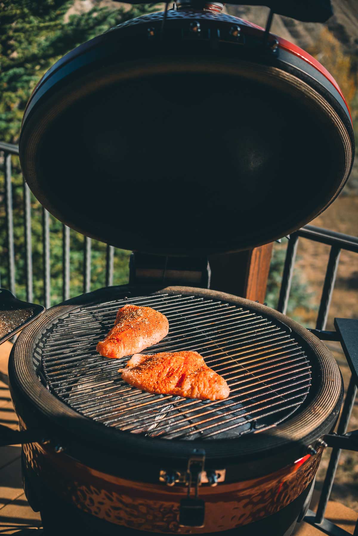 Open grill with two pieces of seasoned turkey tenderloins on the grate, surrounded by outdoor foliage.