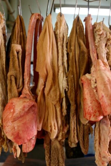 Various cuts of raw animal offal, including organs and tripe, are hanging on metal hooks in a meat processing facility.