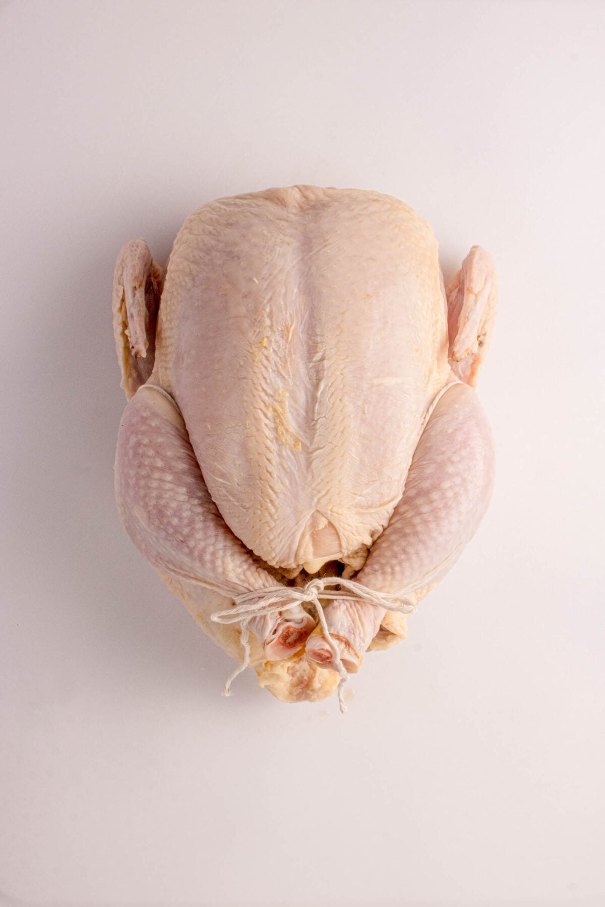 Raw whole chicken with legs tied together, placed breast-side up on a plain white background.