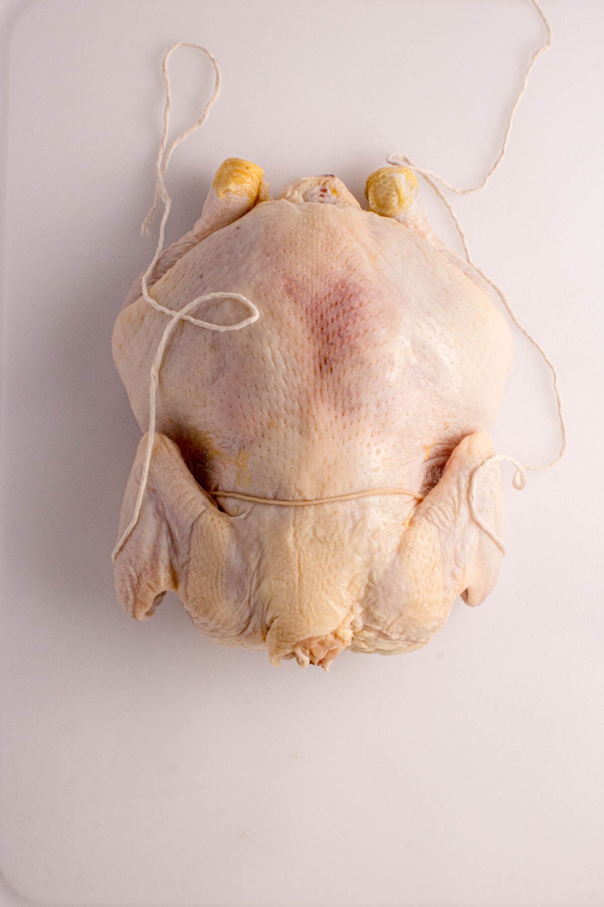 Raw whole chicken trussed with kitchen twine on a white surface, ready for cooking or roasting.