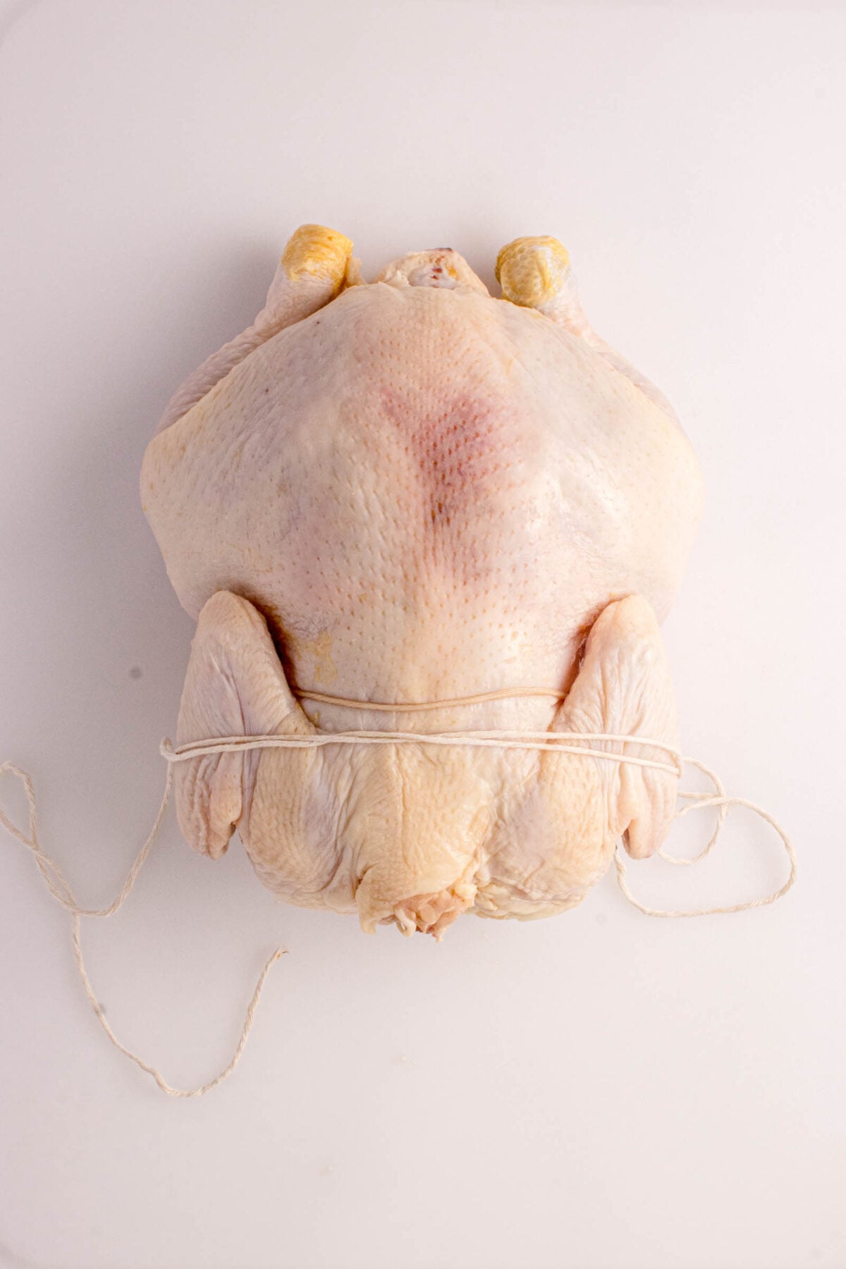 Raw whole chicken with legs tied together with kitchen twine, placed on a white surface.