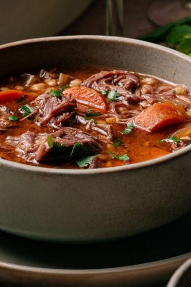 A bowl of beef stew with chunks of beef, carrots, and herbs in broth, served on a matching plate with a spoon.
