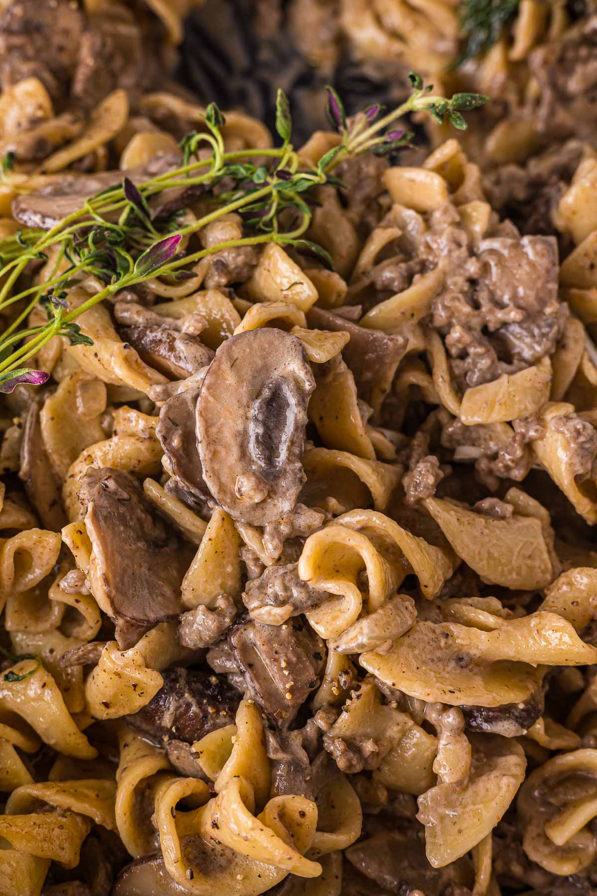 Close-up of creamy beef stroganoff with noodles, mushrooms, and ground beef, garnished with a sprig of fresh thyme.