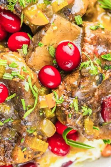 Plate of mashed potatoes topped with braised meat, red cranberries, gravy, diced vegetables, and garnished with chopped herbs.