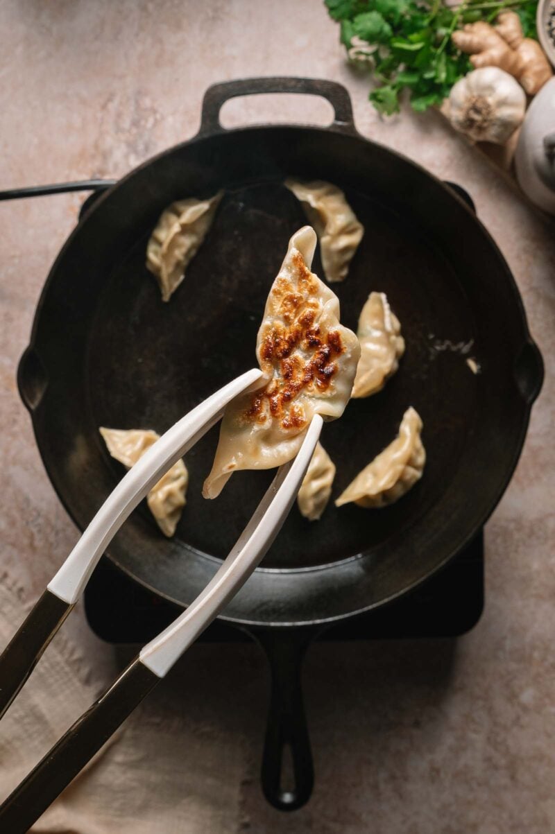 A pair of tongs holds a cooked dumpling above a cast iron skillet to show the crispy bottom with several other dumplings inside the pan.