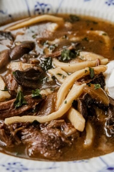 A bowl of mushroom and beef soup with noodles, inspired by classic recipes, garnished with herbs and a dollop of sour cream, served in a patterned dish with a spoon.