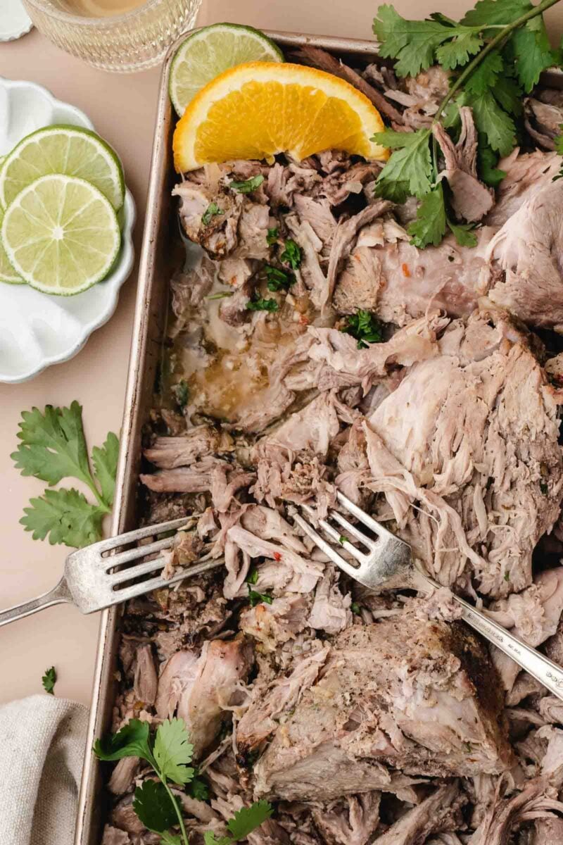 A tray of shredded cooked mojo pork garnished with cilantro, an orange slice, and lime slices, with two forks pulling apart the meat.