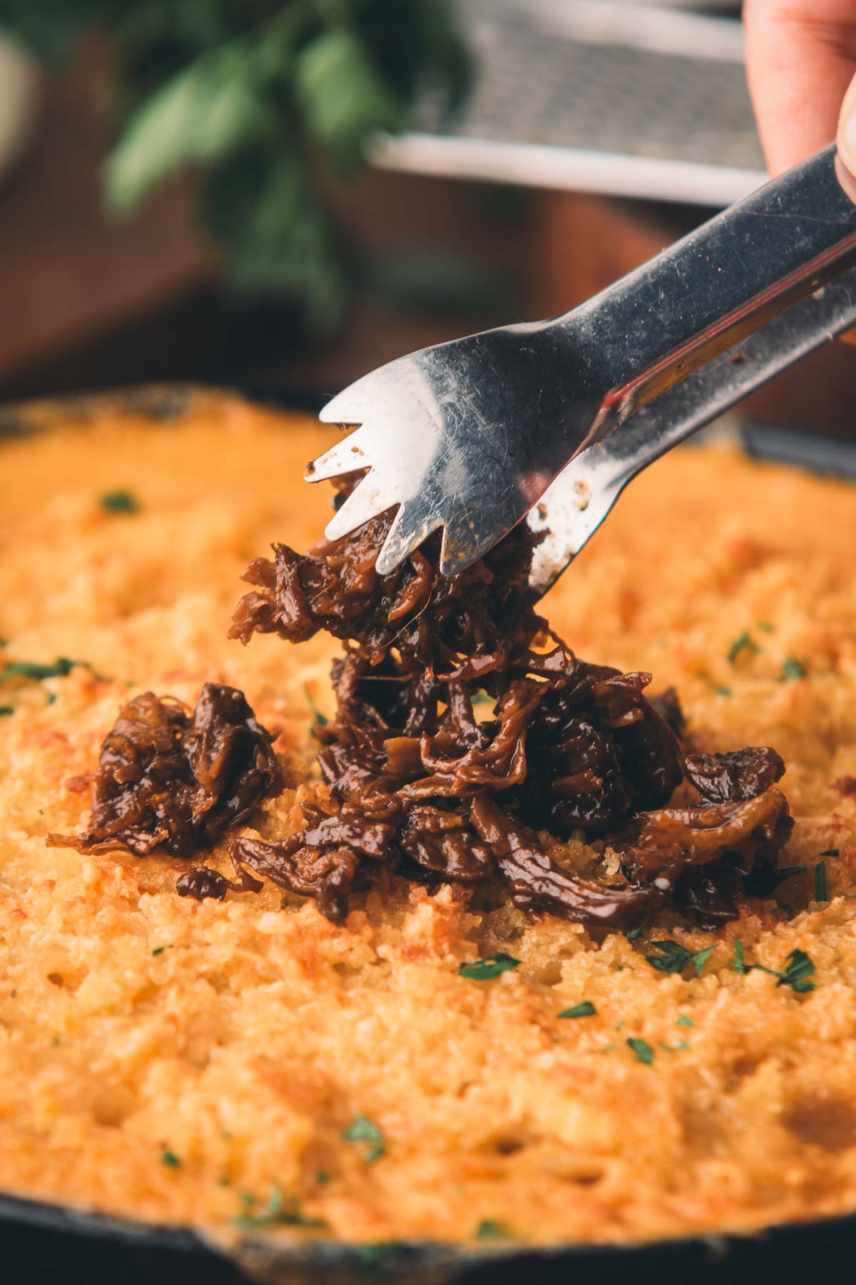 A hand uses metal tongs to place shredded braised beef shanks on top of a baked dish with a golden, crispy crust.