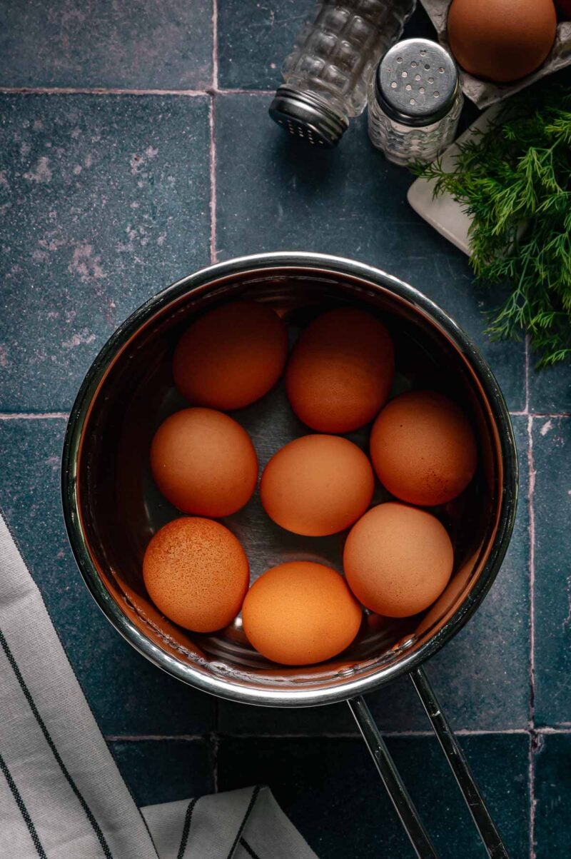 A stainless steel pot containing eight brown eggs sits on a dark tiled countertop next to salt, pepper shakers, herbs, and a striped cloth.