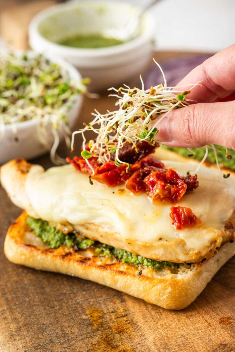 A hand adds sprouts to a sandwich with grilled chicken, melted cheese, pesto, and sun-dried tomatoes on a toasted ciabatta roll.
