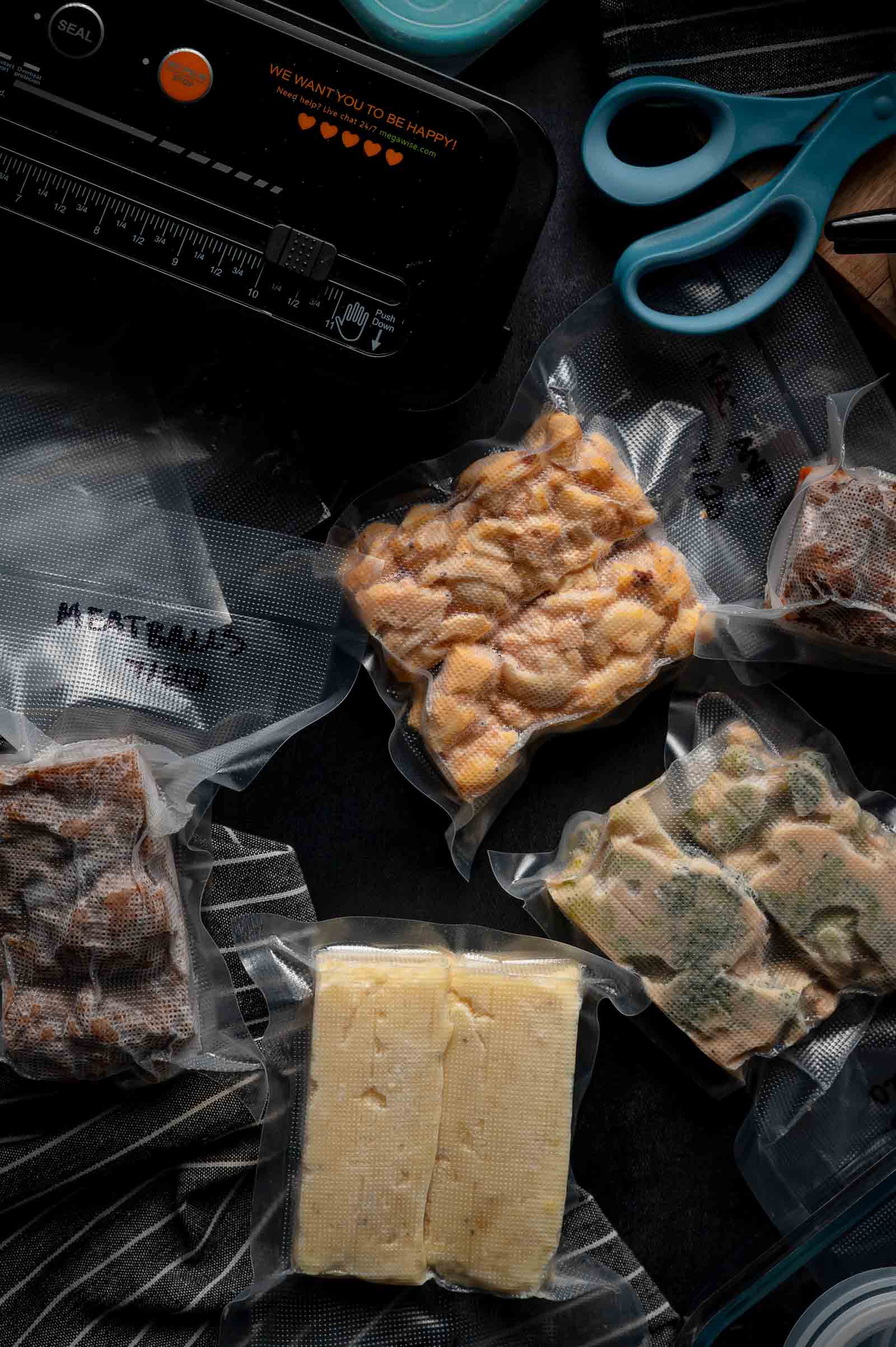 FoodSaver Vacuum Sealer