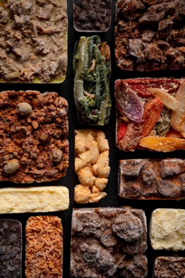 Assorted frozen foods, including vegetables, rice, meats, and desserts, arranged in rectangular portions on a dark surface.